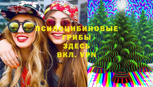 прущие крисы Алзамай