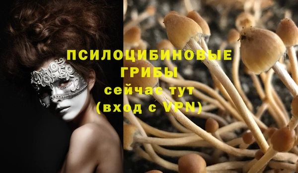 тгк Алексин