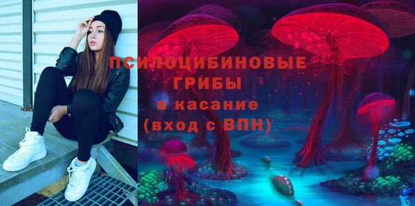 тгк Алексин