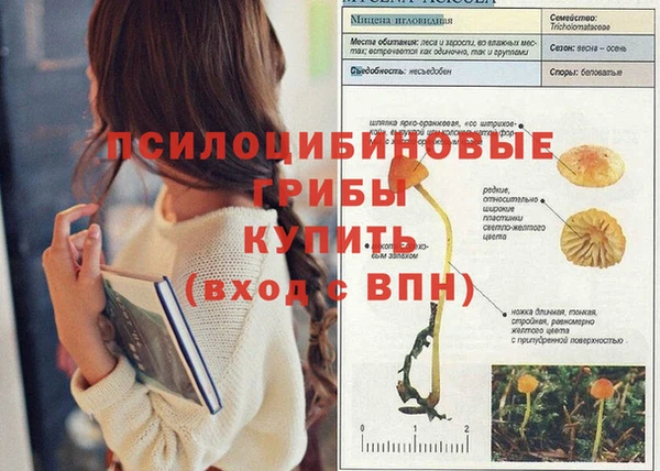 тгк Алексин