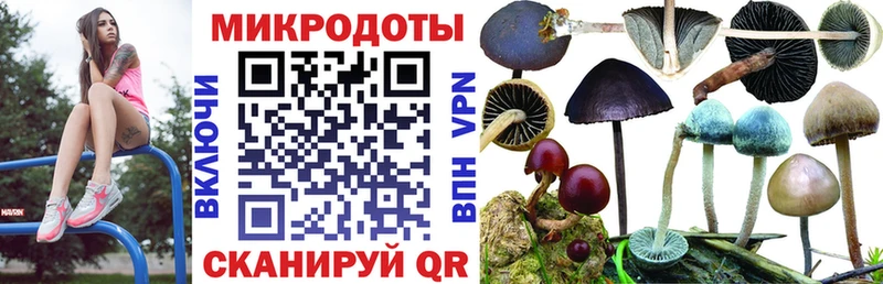 Галлюциногенные грибы мухоморы  Дивногорск 